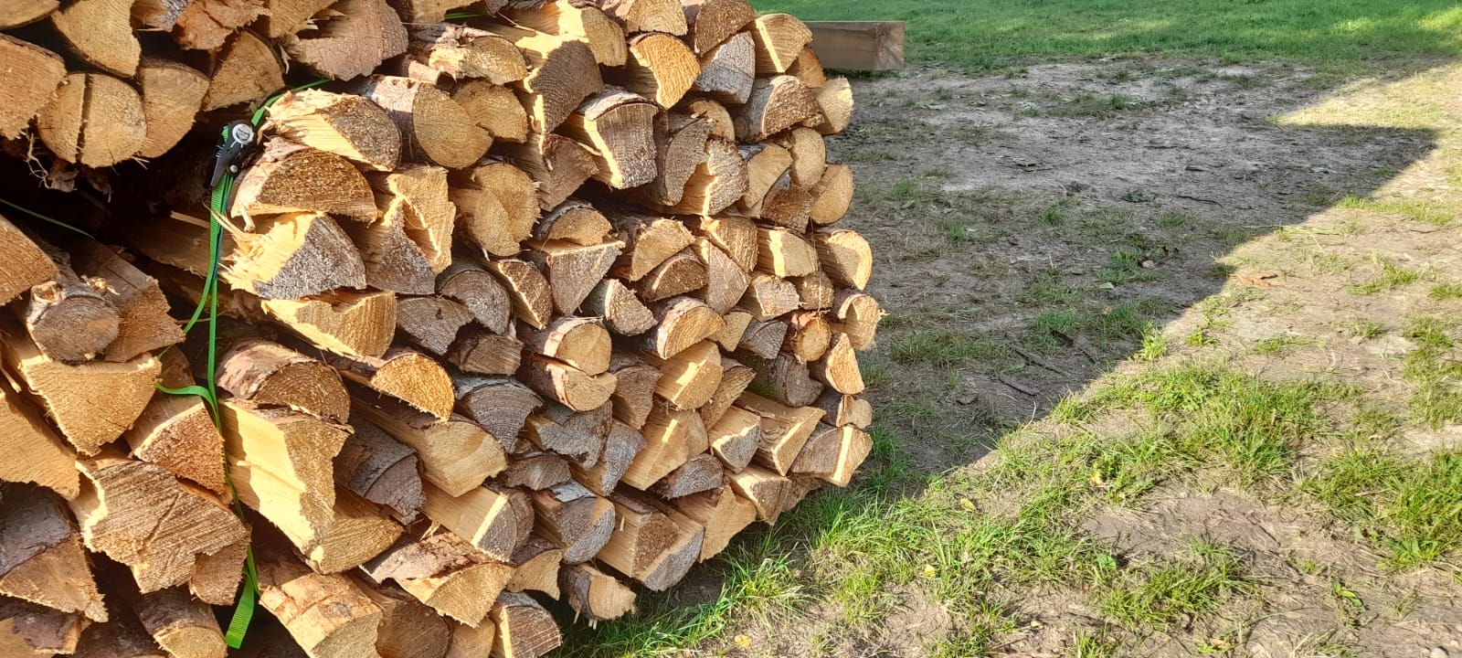 Frisch geschnittenes Feuerholz